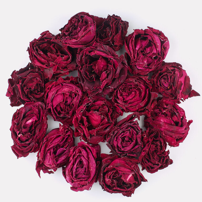 import placeholder for 9420