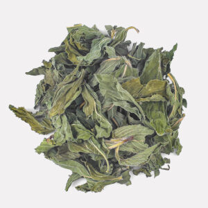 Home import placeholder for 9413